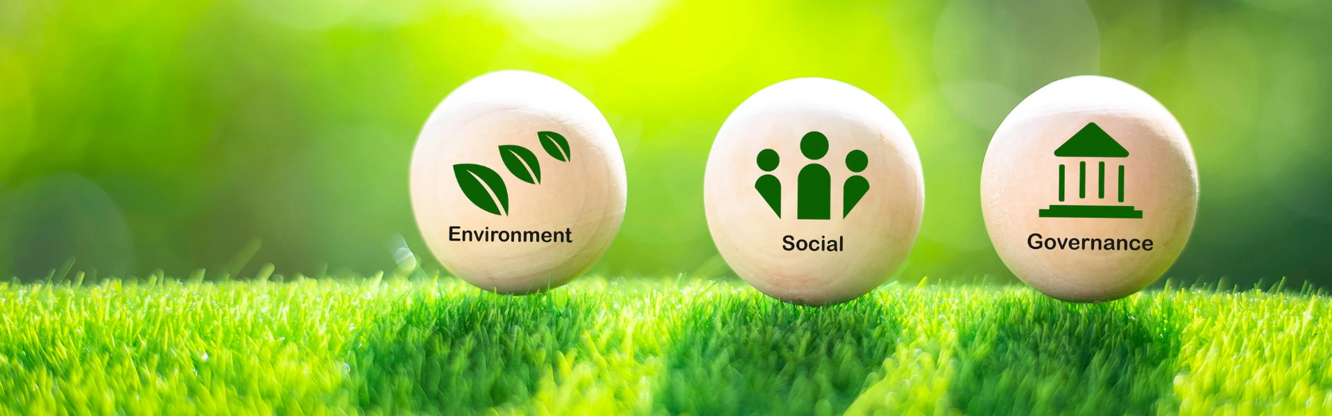 HotelsHR - The Rise of ESG in the Hospitality Industry Implementation and Future Outlook